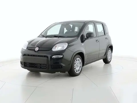 Annonce FIAT PANDA Hybride 2024 d'occasion 