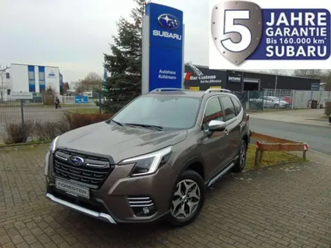 Used SUBARU FORESTER Petrol 2023 Ad 