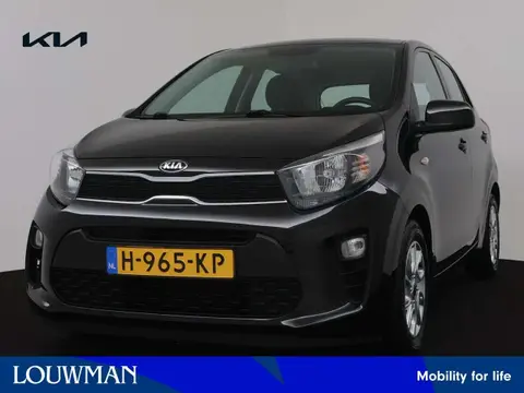 Annonce KIA PICANTO Essence 2020 d'occasion 