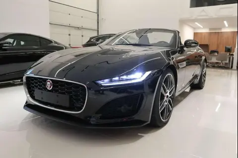 Used JAGUAR F-TYPE Petrol 2024 Ad 