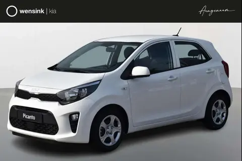 Annonce KIA PICANTO Essence 2020 d'occasion 