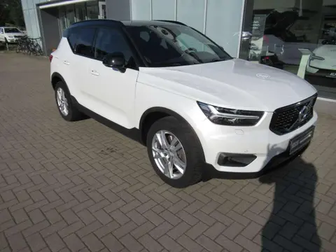 Used VOLVO XC40 Hybrid 2020 Ad 