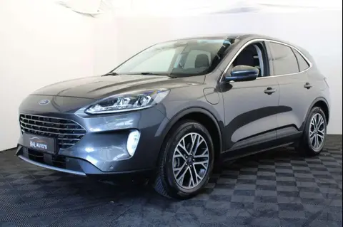 Annonce FORD KUGA Hybride 2020 d'occasion 