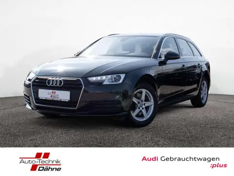 Annonce AUDI A4 Diesel 2019 d'occasion Allemagne