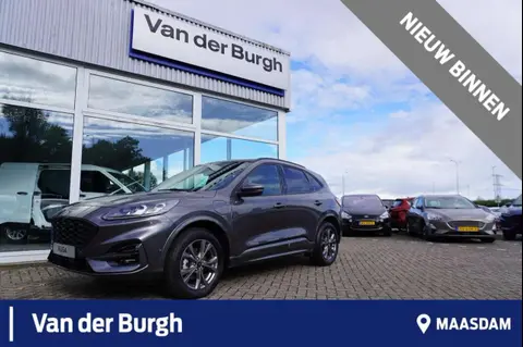 Annonce FORD KUGA Hybride 2023 d'occasion 