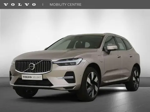 Used VOLVO XC60 Hybrid 2023 Ad 