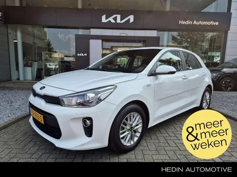 Used KIA RIO Petrol 2018 Ad 