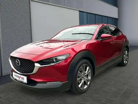 Annonce MAZDA CX-30 Essence 2019 d'occasion 