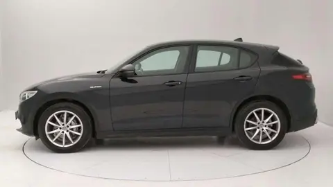 Used ALFA ROMEO STELVIO Diesel 2021 Ad 