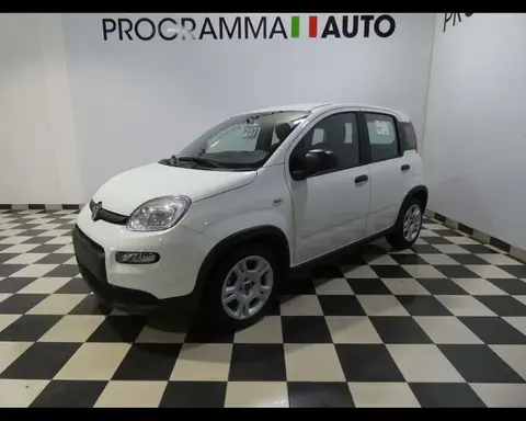 Used FIAT PANDA Hybrid 2024 Ad 