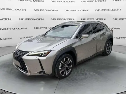 Annonce LEXUS UX Hybride 2019 d'occasion 