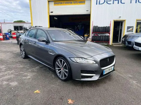 Annonce JAGUAR XF Diesel 2017 d'occasion 