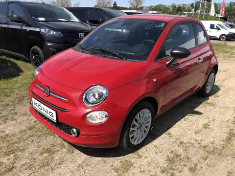 Used FIAT 500 Petrol 2023 Ad 