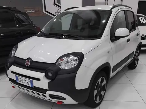 Annonce FIAT PANDA Hybride 2024 d'occasion 