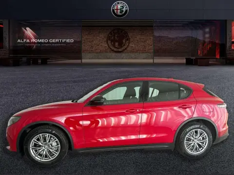 Used ALFA ROMEO STELVIO Diesel 2023 Ad 