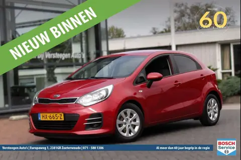 Used KIA RIO Petrol 2016 Ad 