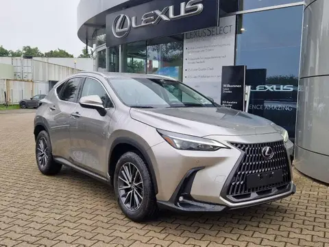 Used LEXUS NX Hybrid 2024 Ad 