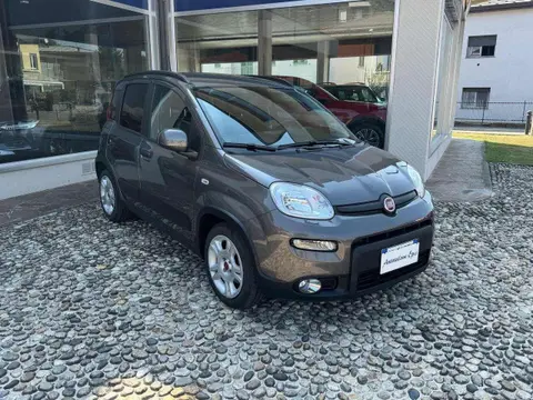 Used FIAT PANDA Hybrid 2023 Ad 