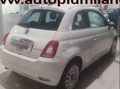 Used FIAT 500 Hybrid 2021 Ad 