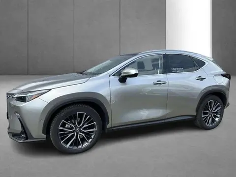 Used LEXUS NX Hybrid 2024 Ad 