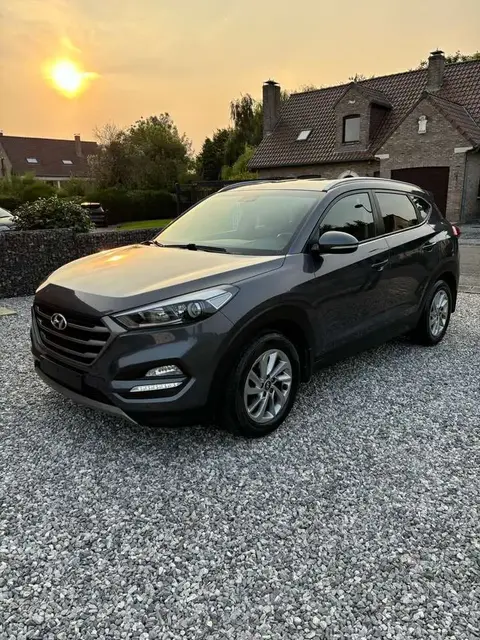 Used HYUNDAI TUCSON Diesel 2017 Ad 