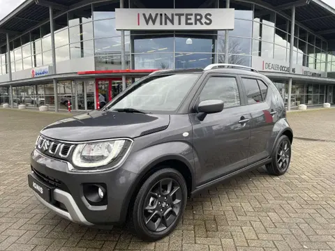 Annonce SUZUKI IGNIS Essence 2024 d'occasion 