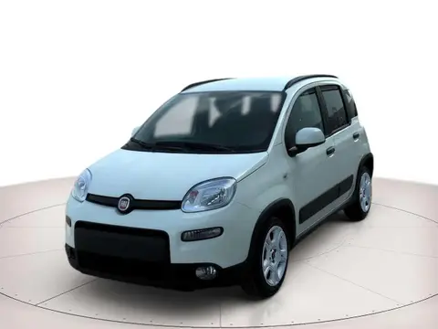 Used FIAT PANDA Hybrid 2024 Ad 