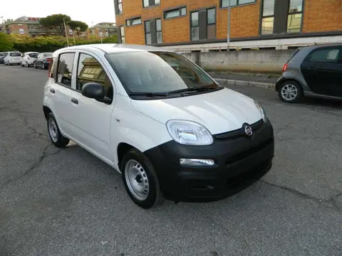 Used FIAT PANDA Hybrid 2023 Ad 