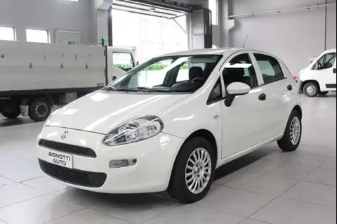 Used FIAT PUNTO LPG 2017 Ad 