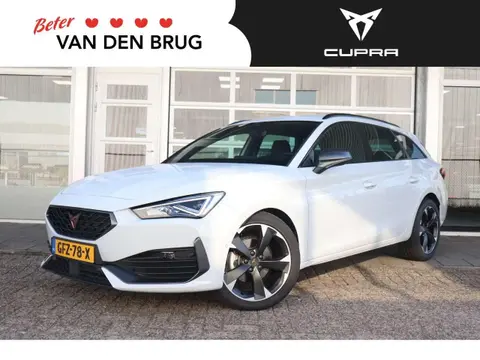 Annonce CUPRA LEON Essence 2023 d'occasion 