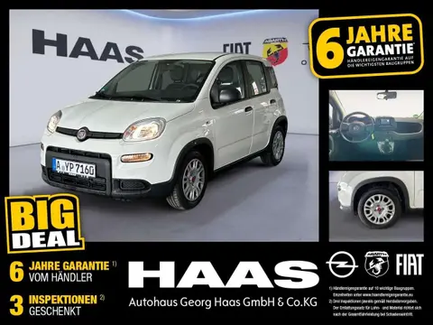 Used FIAT PANDA Petrol 2024 Ad 