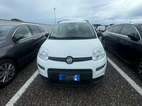 Annonce FIAT PANDA Hybride 2021 d'occasion 