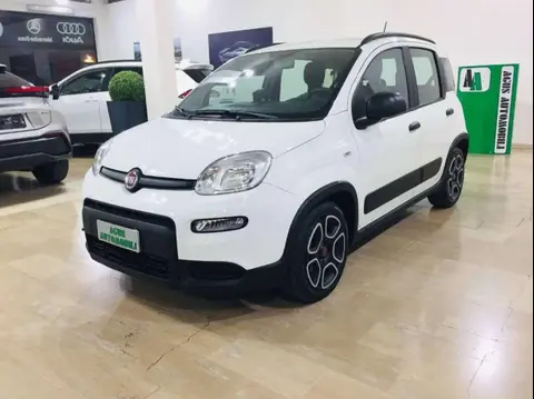 Annonce FIAT PANDA Hybride 2022 d'occasion 