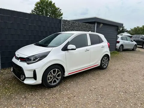 Used KIA PICANTO Petrol 2024 Ad 