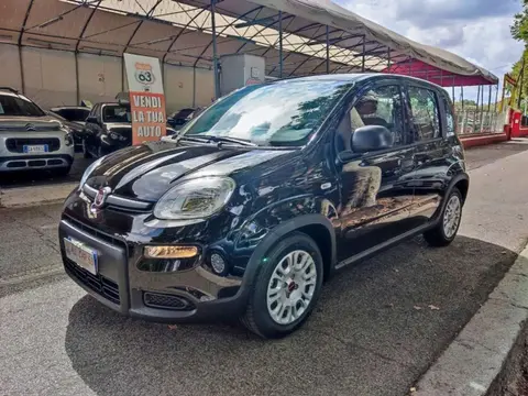 Used FIAT PANDA Hybrid 2024 Ad 