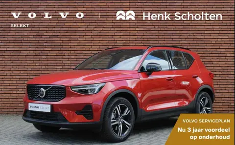 Used VOLVO XC40 Petrol 2024 Ad 