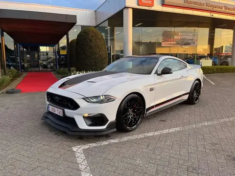 Annonce FORD MUSTANG Essence 2023 d'occasion 