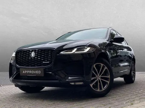 Annonce JAGUAR F-PACE Diesel 2024 d'occasion 