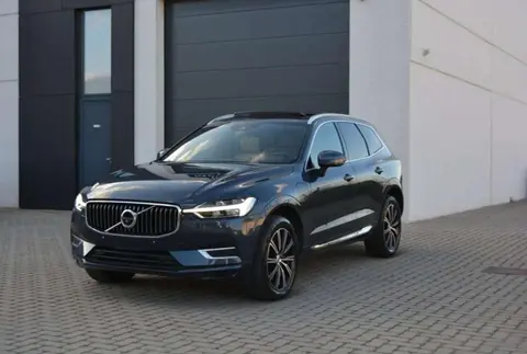 Annonce VOLVO XC60 Hybride 2020 d'occasion 