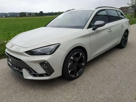 Annonce CUPRA LEON Diesel 2024 d'occasion 