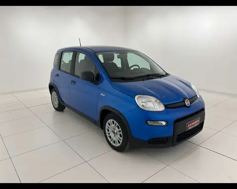 Used FIAT PANDA Hybrid 2024 Ad 