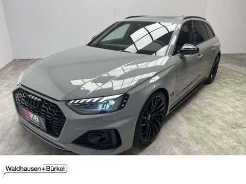 Used AUDI RS4 Petrol 2021 Ad 