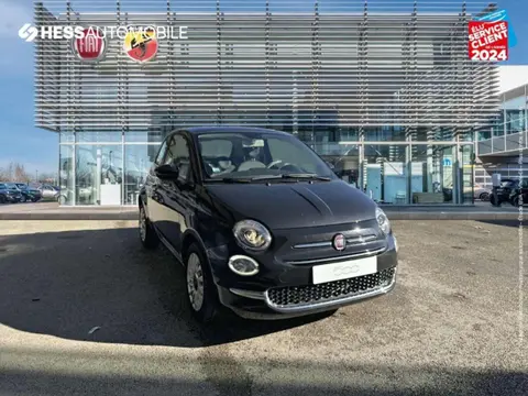 Used FIAT 500  2023 Ad 