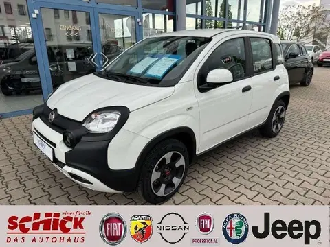 Used FIAT PANDA Petrol 2023 Ad 