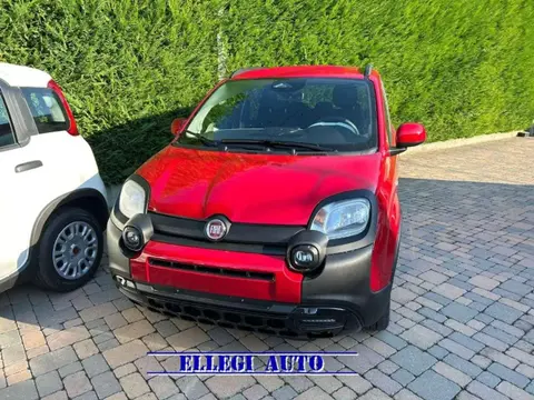 Used FIAT PANDA Hybrid 2024 Ad 