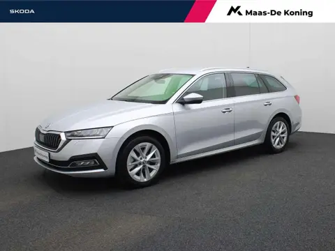 Used SKODA OCTAVIA Petrol 2023 Ad 