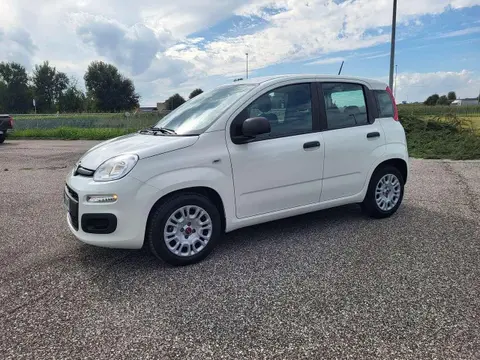 Used FIAT PANDA Hybrid 2021 Ad 