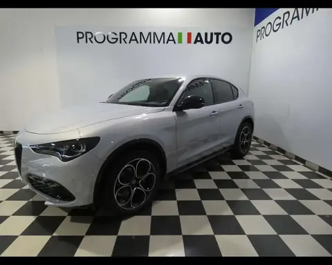 Used ALFA ROMEO STELVIO Diesel 2024 Ad Italy