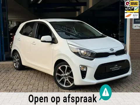 Used KIA PICANTO Petrol 2019 Ad 