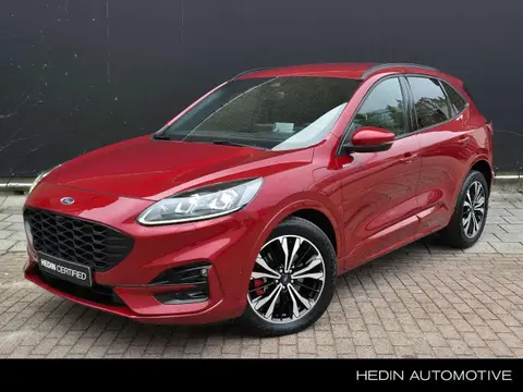 Annonce FORD KUGA Hybride 2021 d'occasion 